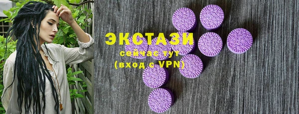 стаф Ростов