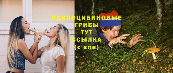 стаф Ростов