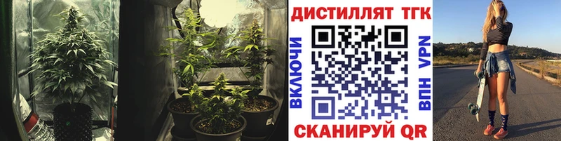 Дистиллят ТГК концентрат  Железногорск-Илимский 