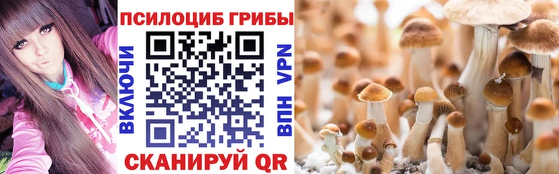 MEGA зеркало  Железногорск-Илимский  Псилоцибиновые грибы мухоморы 
