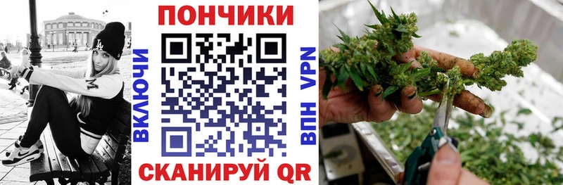 Марихуана сатива  где продают   Железногорск-Илимский 